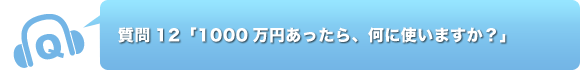 質問12「1000万円あったら、何に使いますか？」
